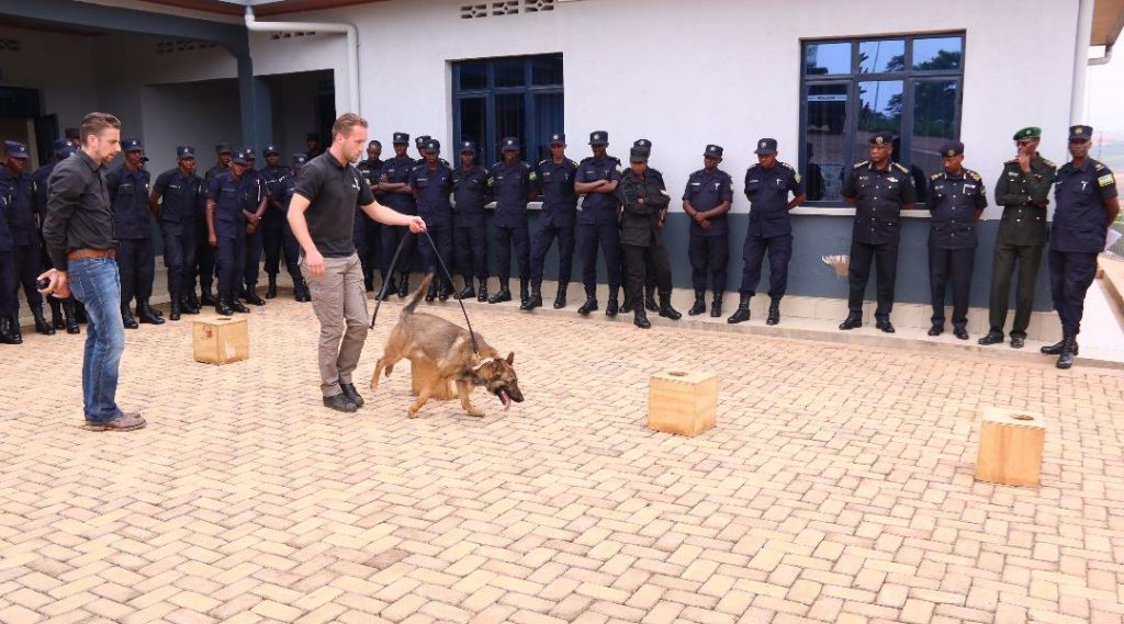 k9 handler courses