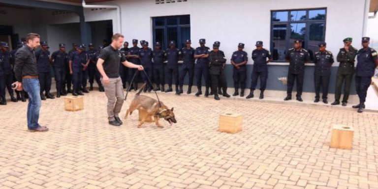 K9 Handler Course Training Worldwide | K10 Workingdogs